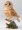 Country Artists Tawny Owl CA01512